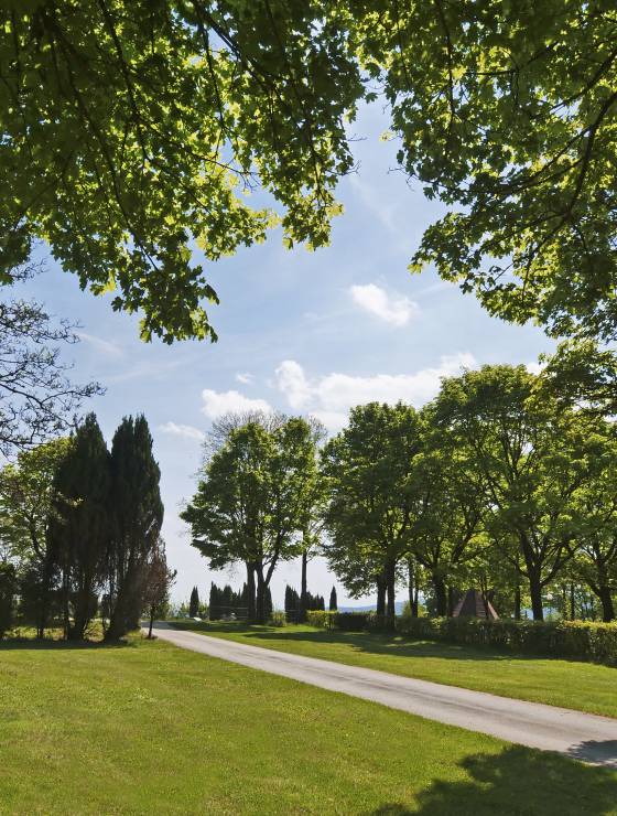 Outdoorurlaub im Bayerischen Wald: Zeltplatz über der Donau - Franz Josef's Landresort