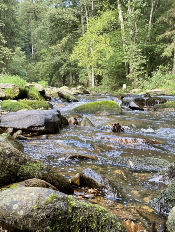Bachlauf im Bayrischen Wald