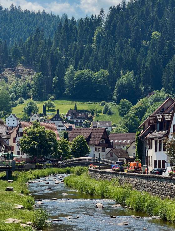 Dorf im Bayrischen Wald mit Flusslauf