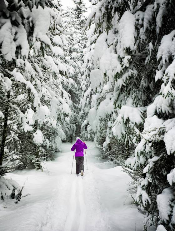 Ski Langlauf im schneebedeckten Bayrischen Wald